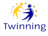 twinning.png